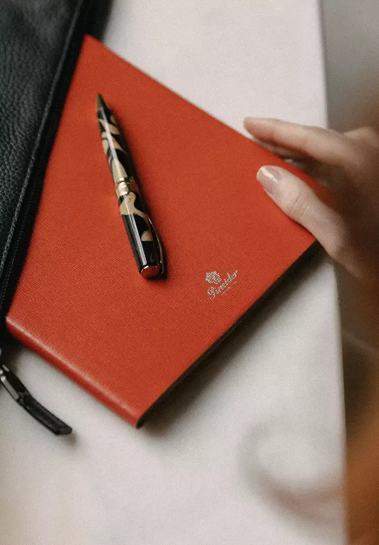 Your diary, your voice