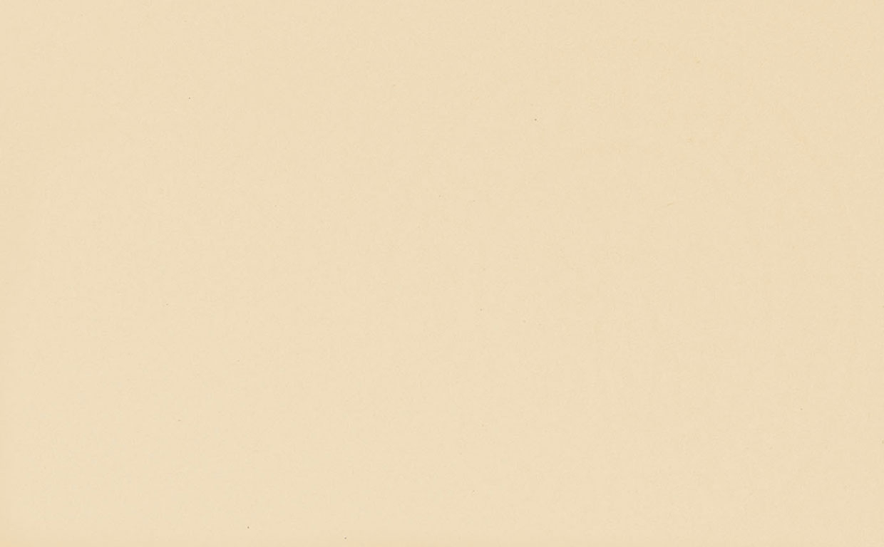 Busta Corporate Capri