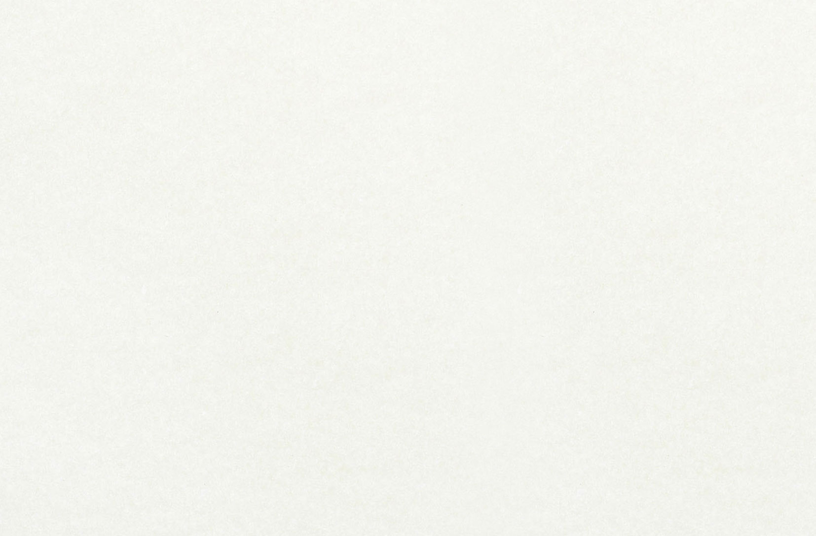 Busta Corporate  Vaticano