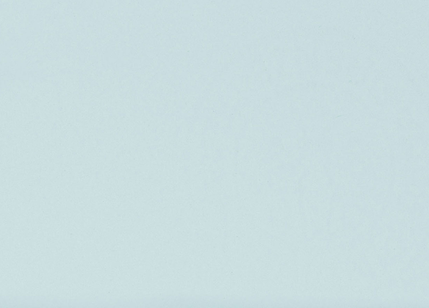 Busta Corporate Capri