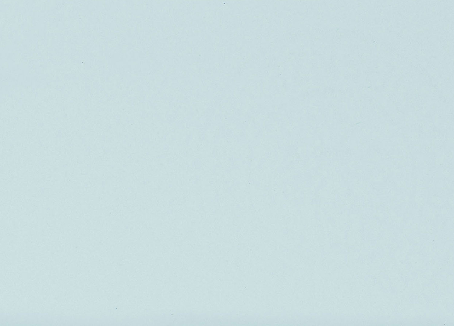 Busta Corporate Capri