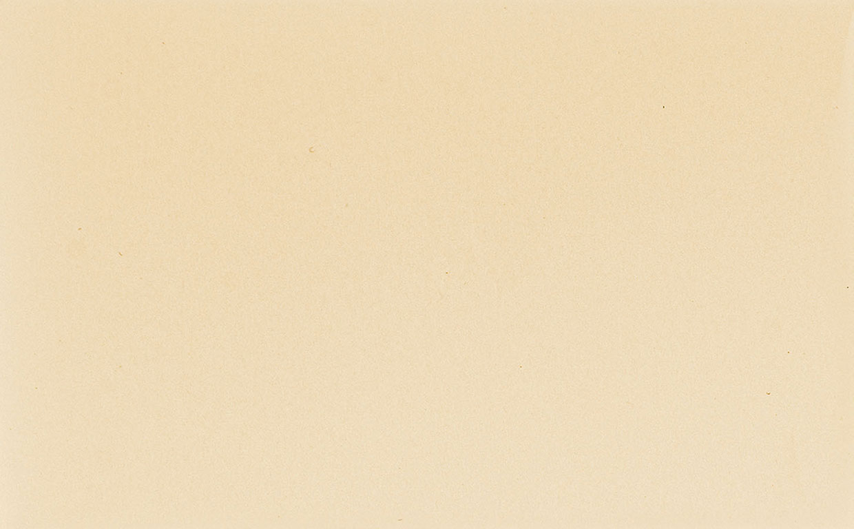 Busta Corporate Florentia