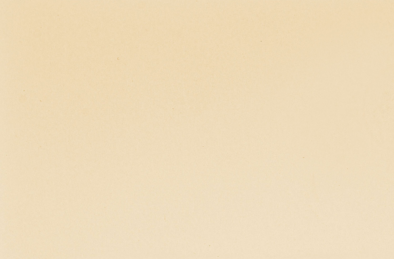 Busta Corporate Florentia