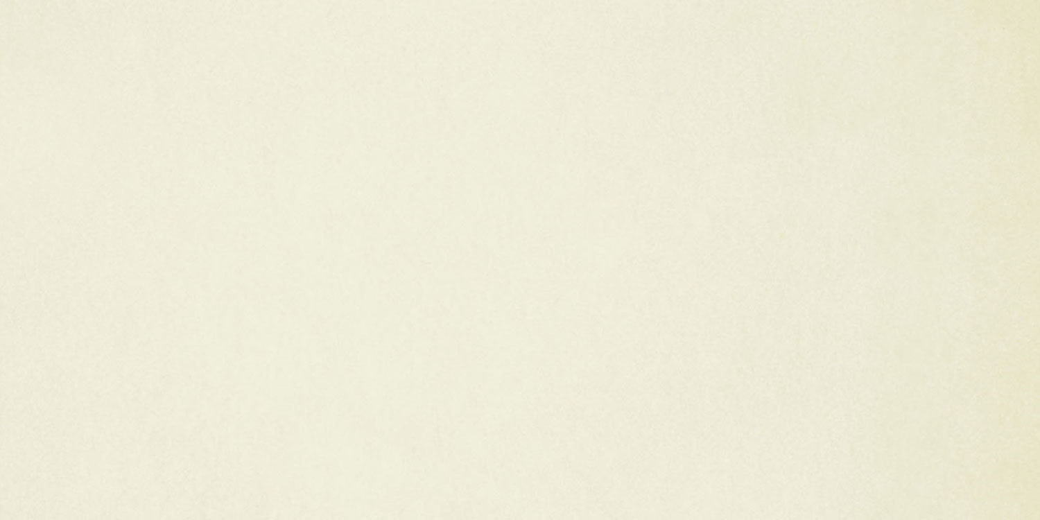 Busta Corporate  Vaticano