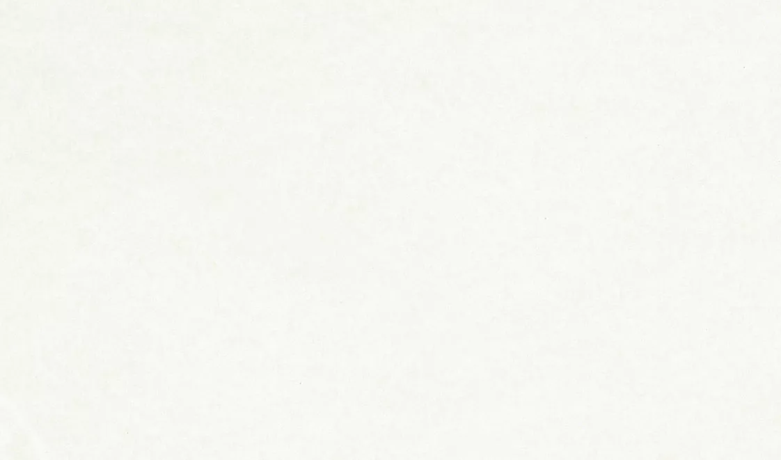 Biglietto da visita Boston Corporate