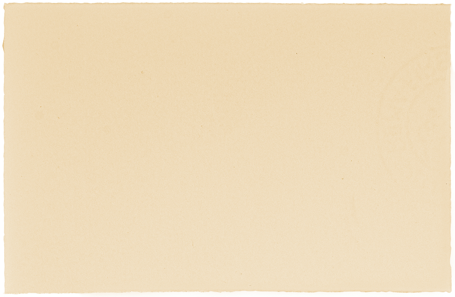 Biglietto da cortesia centrato  Florentia