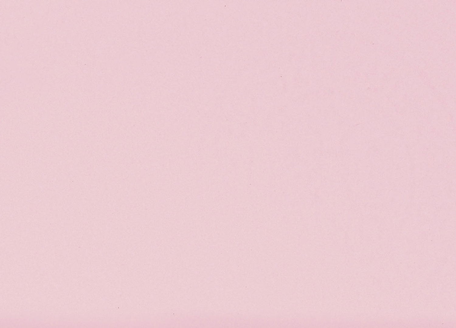 Busta Corporate Capri