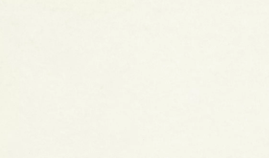 Biglietto da visita Boston Corporate