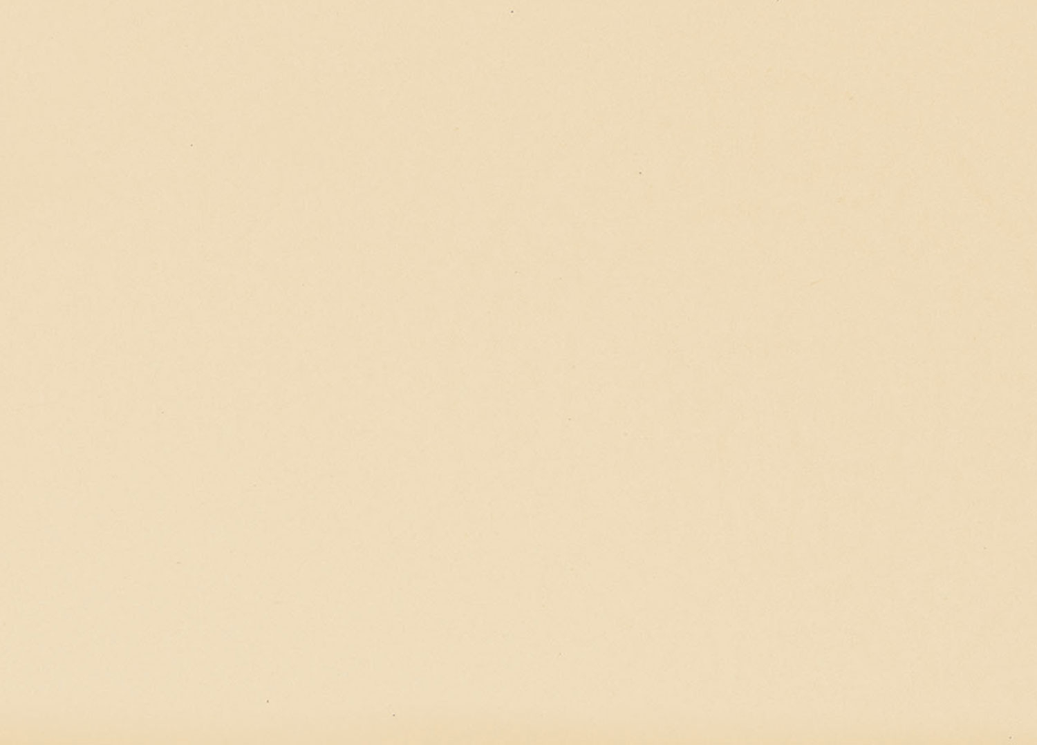 Busta Corporate Capri