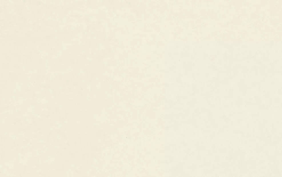 Biglietto da visita Boston Corporate