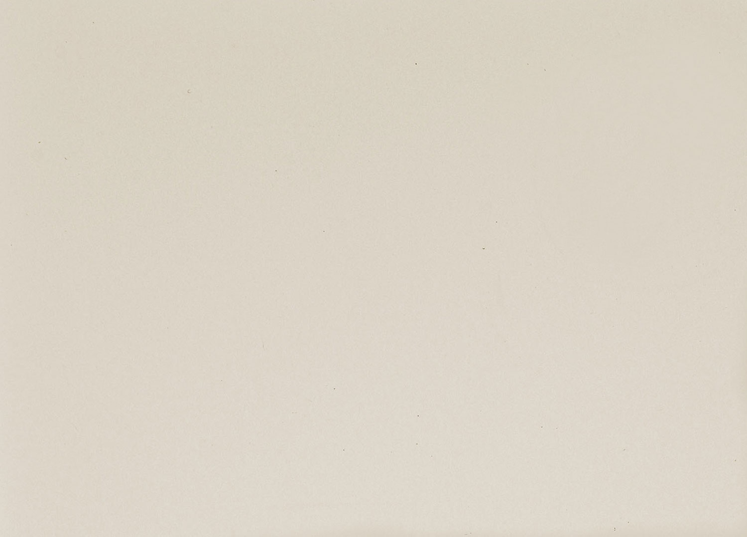 Busta Corporate Florentia