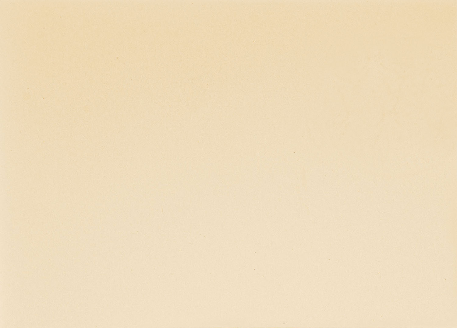 Busta Corporate Florentia