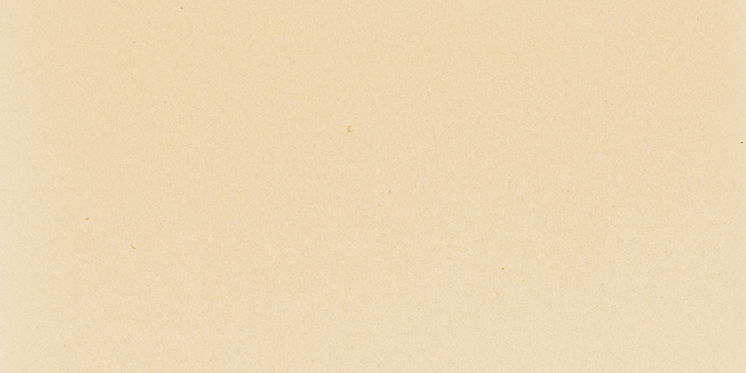 Busta Corporate Florentia