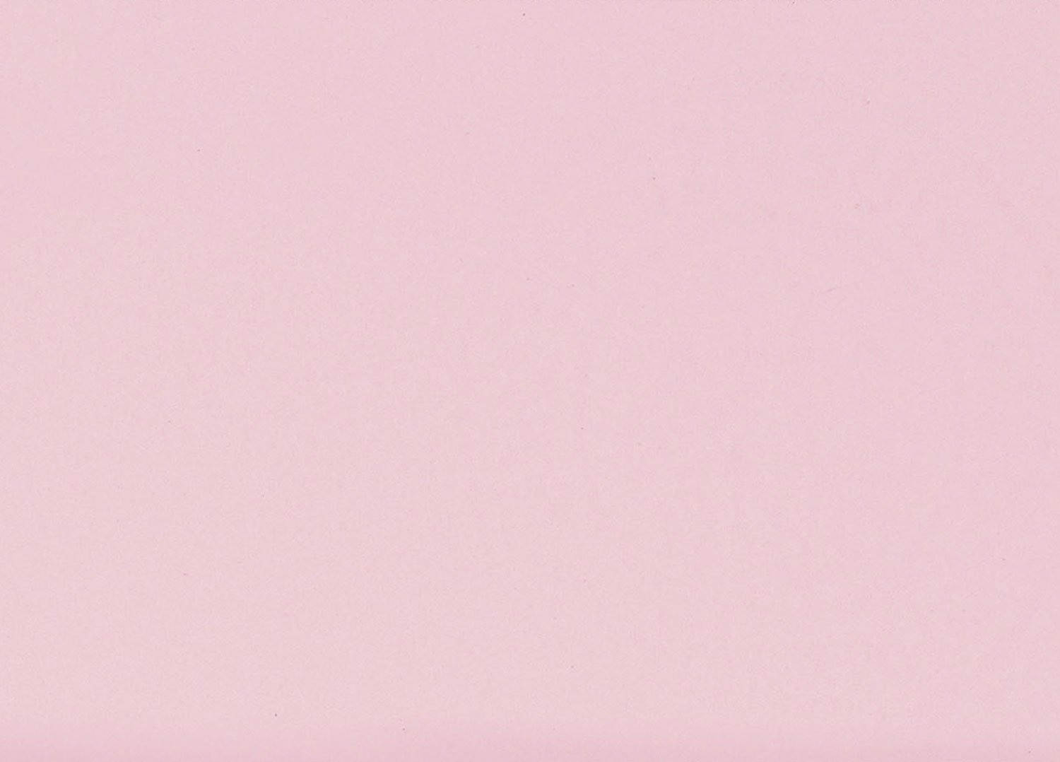 Busta Corporate Capri